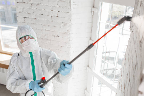 Best Commercial Mold Inspection  in Laton, CA