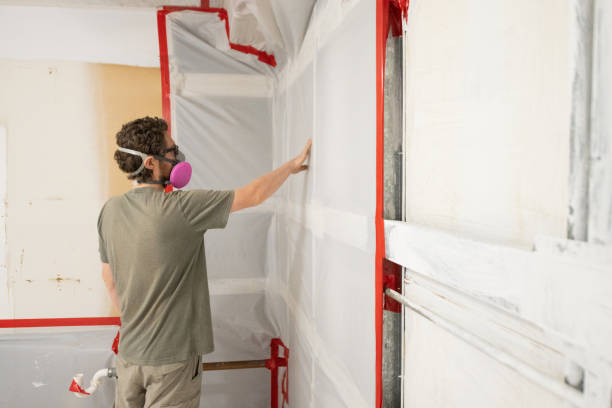  Laton, CA Mold Removal Pros