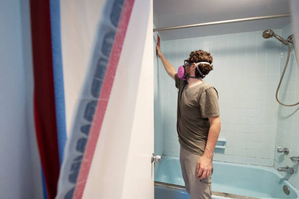 Best Post-Construction Mold Inspection  in Laton, CA