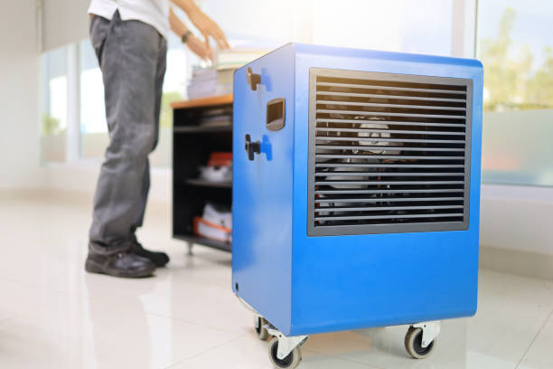 Best Residential Mold Inspection & Testing  in Laton, CA