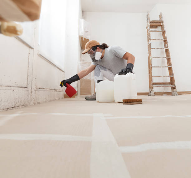 Best Crawl Space Mold Remediation  in Laton, CA