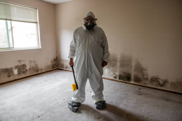 Best Post-Construction Mold Inspection  in Laton, CA